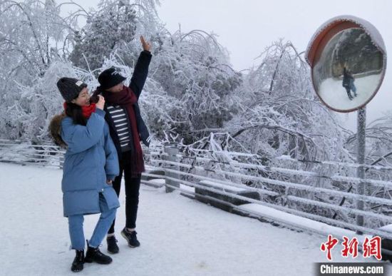 ������żҽ����һ����ζ�������±� ��