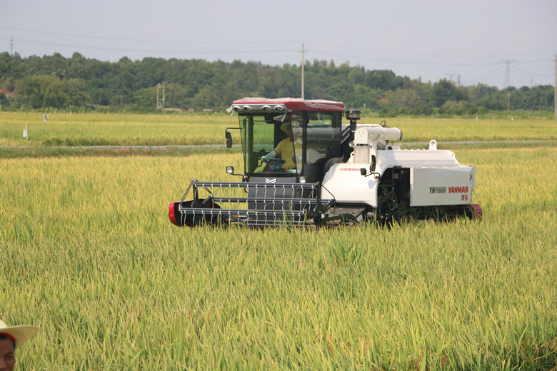 �絾�ո���������� ������