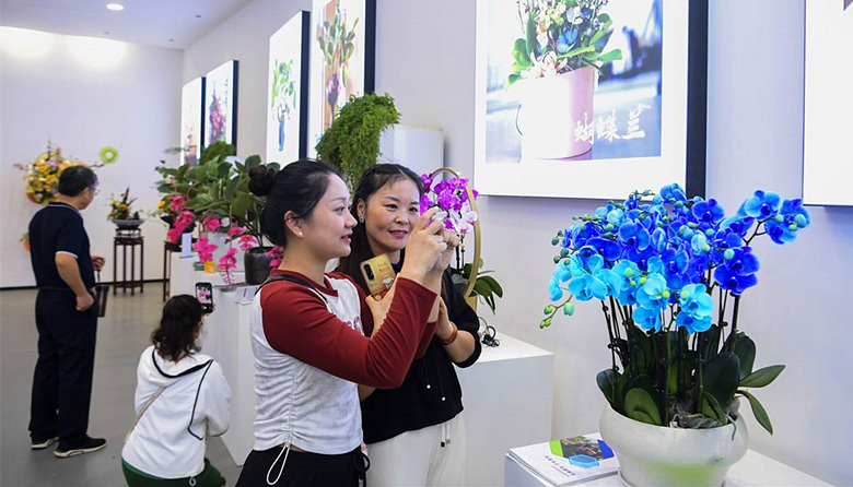 ���ڹ�չ��������